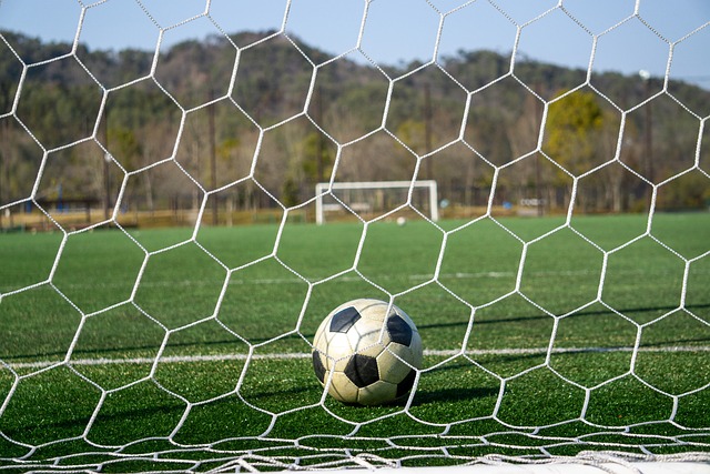 己和公众负 己和公众负