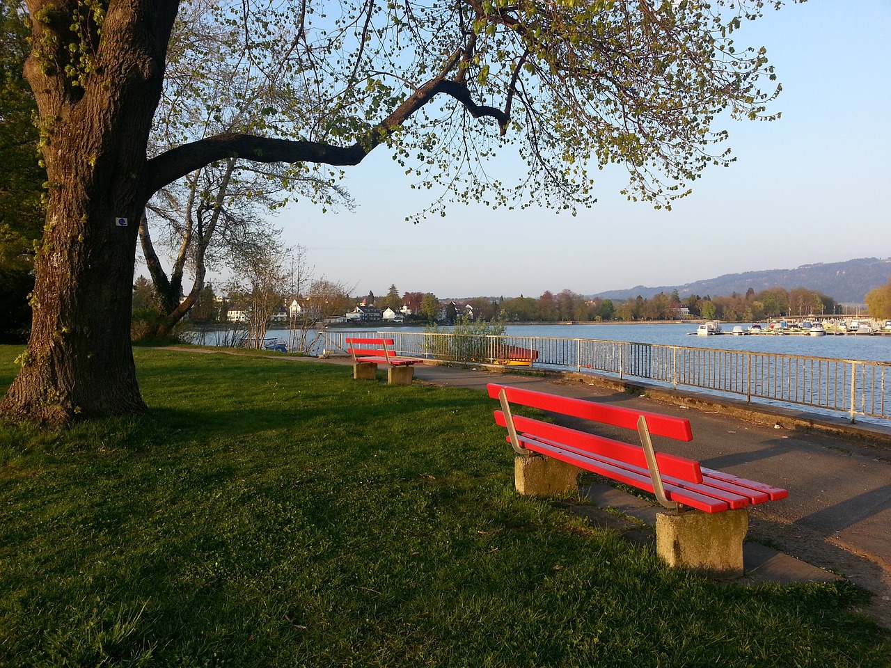 以对冲来自 以对冲来自