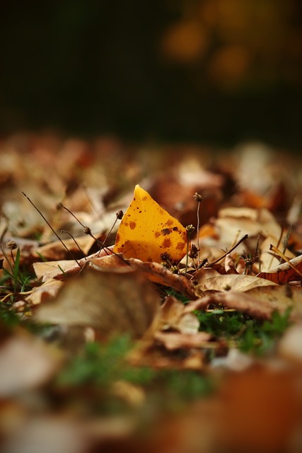 家庭趣味比 家庭趣味比