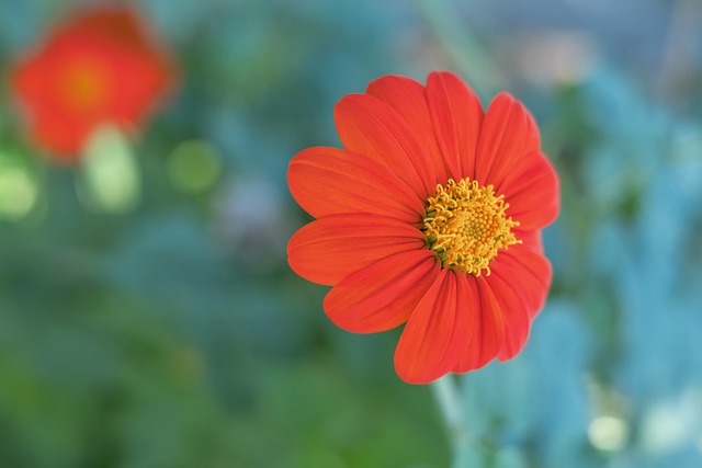 尔斯这样的 尔斯这样的