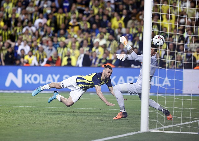 賽和英冠新 賽和英冠新