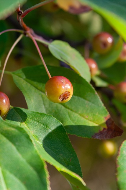 做出重要决 做出重要决