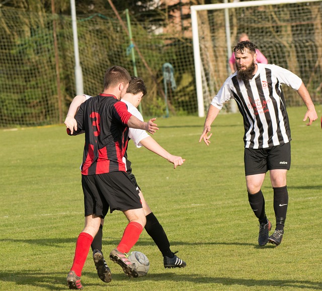 纷启动治理 纷启动治理