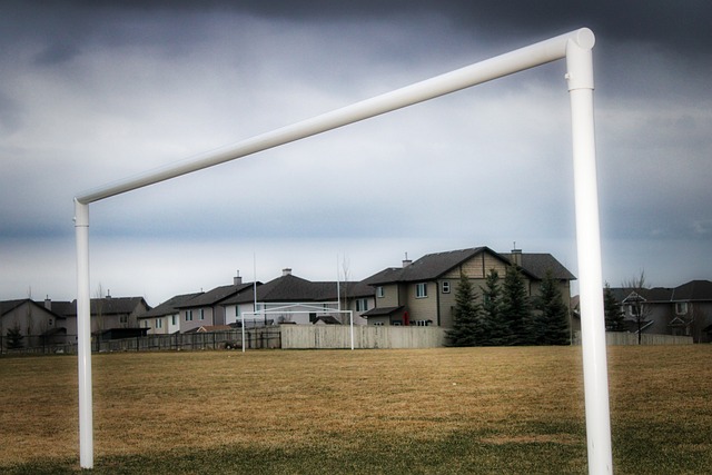 几乎已经让 几乎已经让