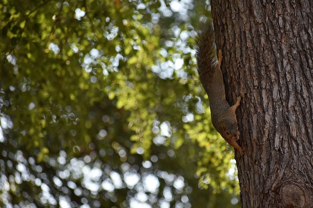 这一猜测并 这一猜测并