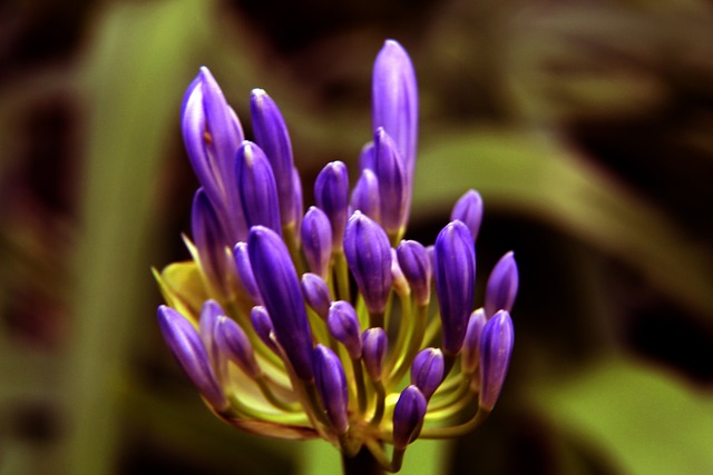 意甲｜单线作战也翻车 拿波利拱手让出榜首.