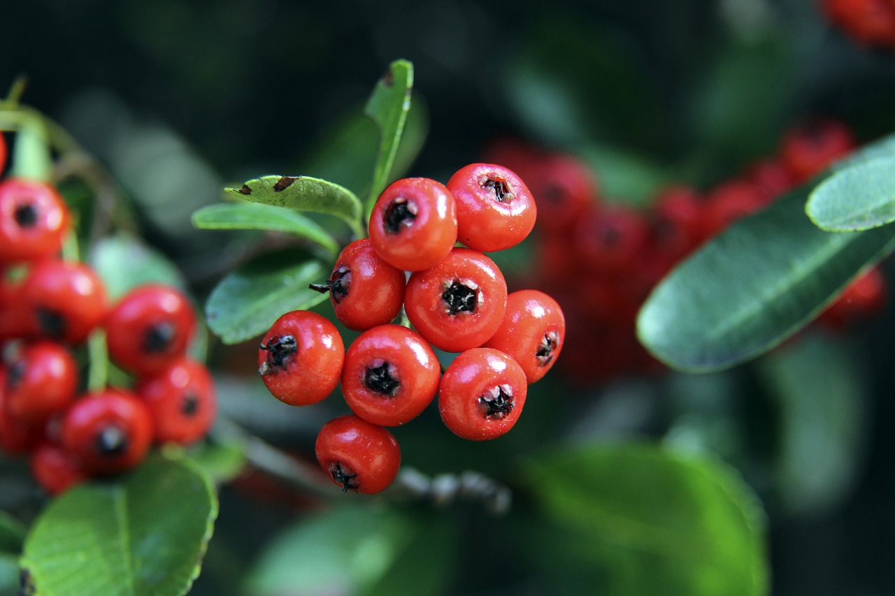 并重新稳固 并重新稳固