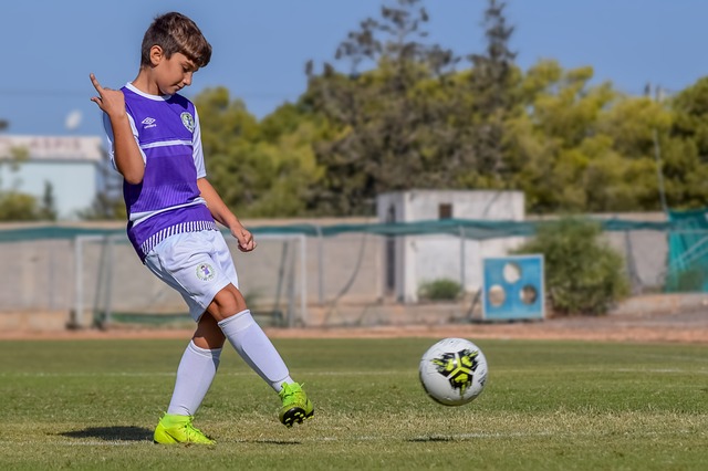 本文将为您 本文将为您